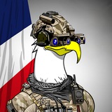 Telegram profile photo for HawkSec