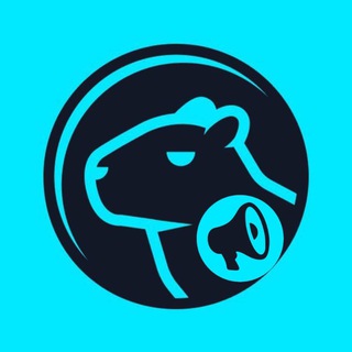 Telegram profile photo for D3X Community