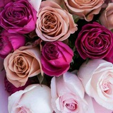 Telegram profile photo for قصص