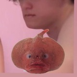 Telegram profile photo for Рыбка буль буль 🐡
