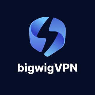 Telegram profile photo for bigwigVPN