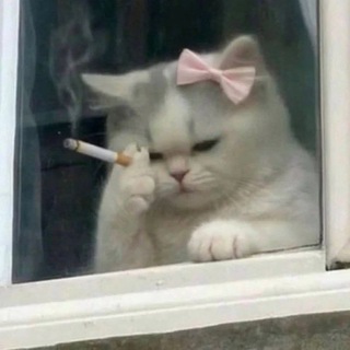 Telegram profile photo for Unfiltered