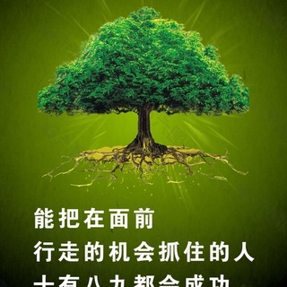 Telegram profile photo for U8国际【官网】