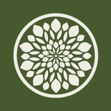 Telegram profile photo for К Р А С U В О