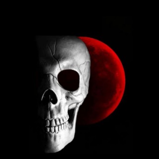 Telegram profile photo for ππππππ πππππππ