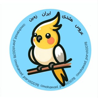 Telegram profile photo for 🦜گروه عروس هلندی ایران زمین
