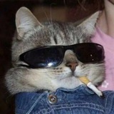 Telegram profile photo for ππππππΌπ½ππ