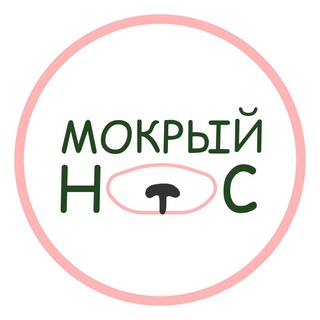 Telegram profile photo for МОКРЫЙ НОС