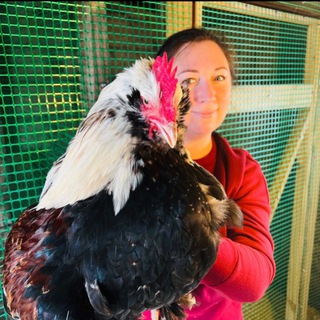 Telegram profile photo for Аннушка Адамова