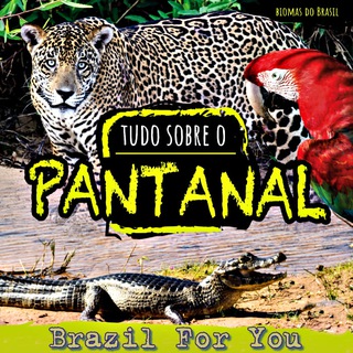 Telegram group profile photo for Pantanal чат Brazil For You