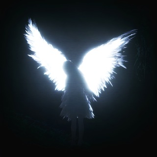 Telegram profile photo for voidcult.exe