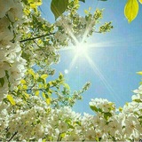 Telegram profile photo for روشنگري اساتيد