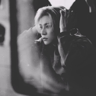 Telegram profile photo for MOODBOARD MALEE; FREE.