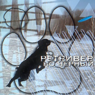 Telegram profile photo for ретривер но черный