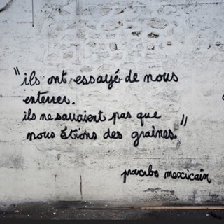 Telegram profile photo for Nous sommes des graines