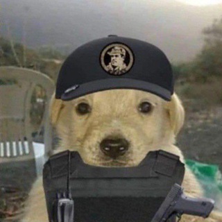 Telegram group profile photo for Shop stay