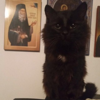 Telegram profile photo for не рейман