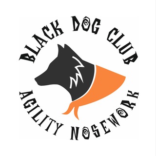 Telegram profile photo for Аджилити - Ноузворк