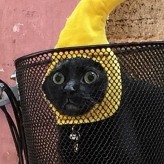 Telegram profile photo for ΛNDRΞ︎Y DBSV