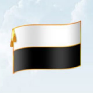 Telegram profile photo for Народный Собор