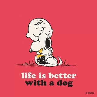 Telegram group profile photo for Perlovka dogs ❤🐕
