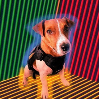 Telegram profile photo for gmanka