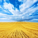 Telegram profile photo for Простір Єдності Пологівського району «ДОПОМОГА ПОРУЧ»