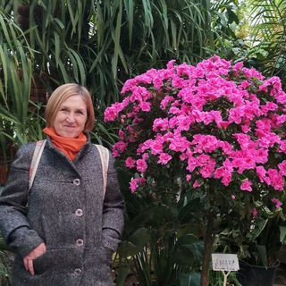 Telegram profile photo for Родимая земля - с южных гор до северных морей🌺