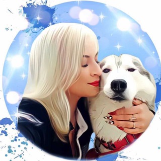 Telegram profile photo for 💙ШАРАМЫГА У ПЛИТЫ💙