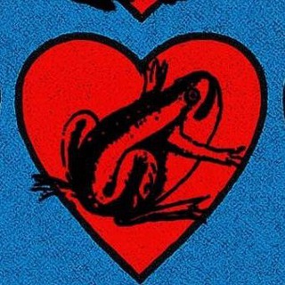 Telegram profile photo for жабы и лягушки на месте