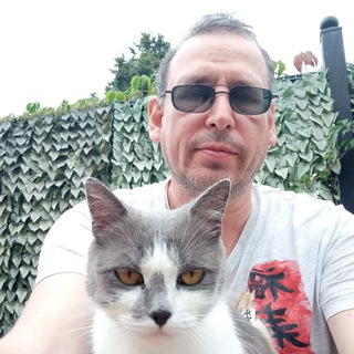 Telegram profile photo for KoreaMeow