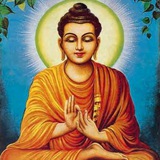 Telegram profile photo for Zen Habits