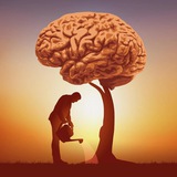 Telegram profile photo for Дневник любознательного предпринимателя