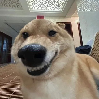 Telegram profile photo for ππ πππ Β° πππππππ