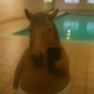 Telegram profile photo for Отзывы KAMA