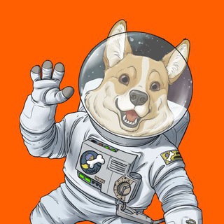 Telegram profile photo for SpaceCorgi Announcements