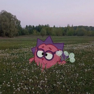 Telegram profile photo for Полезные полезности) 👾