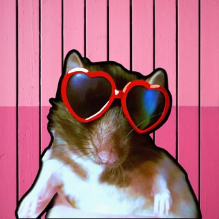 Telegram profile photo for Крыса на шопинге