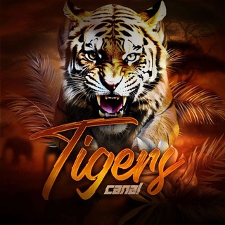 Telegram profile photo for Tigers. #Channel 14+