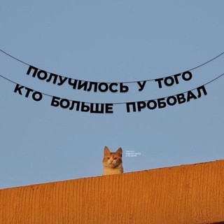 Telegram profile photo for protopopoff