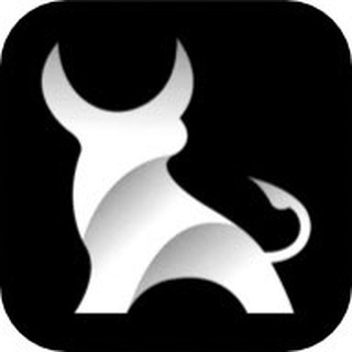 Telegram profile photo for BIRBULL
