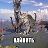 Telegram profile photo for Штудирую джиниус