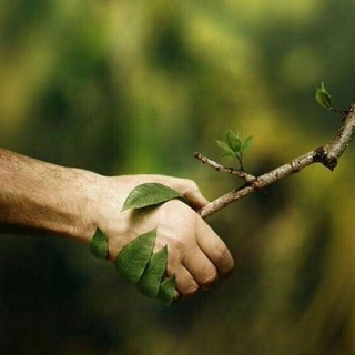 Telegram profile photo for Nature