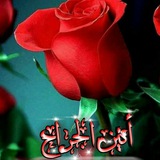 Telegram profile photo for أنين الجراح🥀⚘🕊