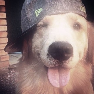 Telegram profile photo for #️⃣