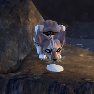 Telegram profile photo for Meow