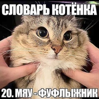 Telegram profile photo for миронннн // пчела