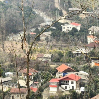 Telegram profile photo for کانال روستای کوده