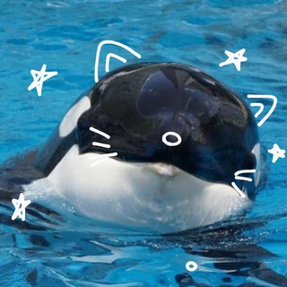 Telegram profile photo for Нами Хамамото.|Полярный хеви-метал.