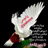 Telegram profile photo for پابوس